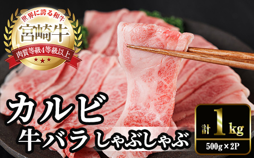 宮崎牛 カルビカット しゃぶしゃぶ (計1kg・500g×2) しゃぶしゃぶ お肉 牛肉 黒毛和牛 宮崎牛 ブランド和牛 冷凍 国産 宮崎県産 カルビ バラ 【YM-37】【YAMATO株式会社】