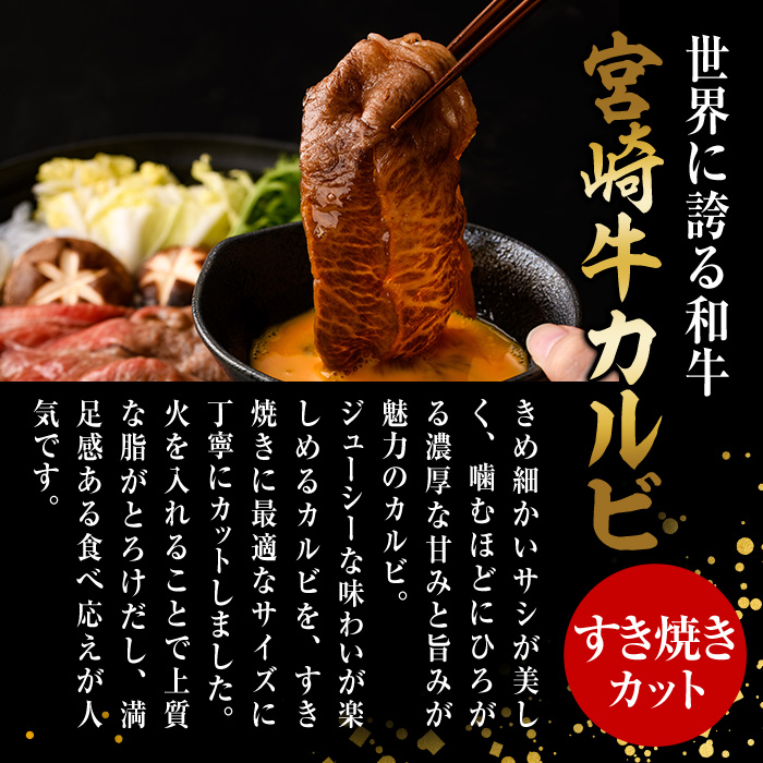 宮崎牛 カルビカット すき焼き (計500g・250g×2) すき焼き お肉 牛肉 黒毛和牛 宮崎牛 ブランド和牛 冷凍 国産 宮崎県産 カルビ バラ 【YM-33】【YAMATO株式会社】