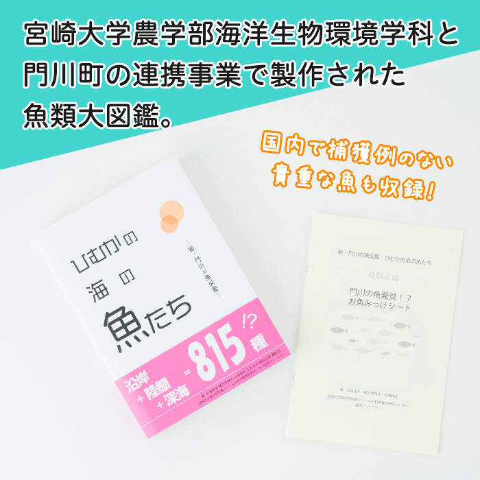 新・門川の魚図鑑と魚かるたセット！お魚 知育 学習 本 書籍 玩具 おもちゃ カードゲーム【AI-4】【門川町地域振興課】