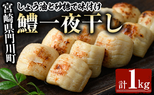 鱧の一夜干し(計1kg)ハモ 干物 魚介 おつまみ おかず 小分け 冷凍 国産 宮崎県 門川町【O-2】【門川漁業協同組合】