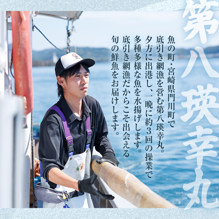 【北海道・離島配送不可】漁師直送！朝獲れ 季節の 鮮魚 詰め合わせ (並) (合計2kg以上・3～5種) 下処理済み 大衆魚 高級魚 未利用魚 冷蔵 BOX ボックス イカ 鯛 海鮮 魚介 食べ比べ 詰合せ 宮崎県産 【O-10】【門川漁業協同組合】