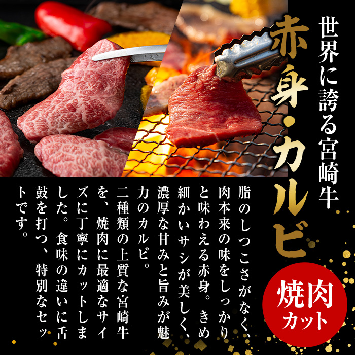 宮崎牛 赤身＆カルビ カット 焼肉 (合計1kg・500g×2) 焼肉 お肉 牛肉 黒毛和牛 宮崎牛 ブランド和牛 冷凍 国産 カルビ 赤身 宮崎県産 【YM-44】【YAMATO株式会社】