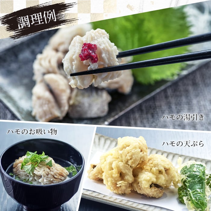 ＜訳あり・業務用＞加熱用はも(計約1kg・約500g×2パック)魚介 国産 ハモ 鱧 湯引き 天ぷら しゃぶしゃぶ 骨切り済 宮崎県 門川町【MR-2】【株式会社マルユウ水産】