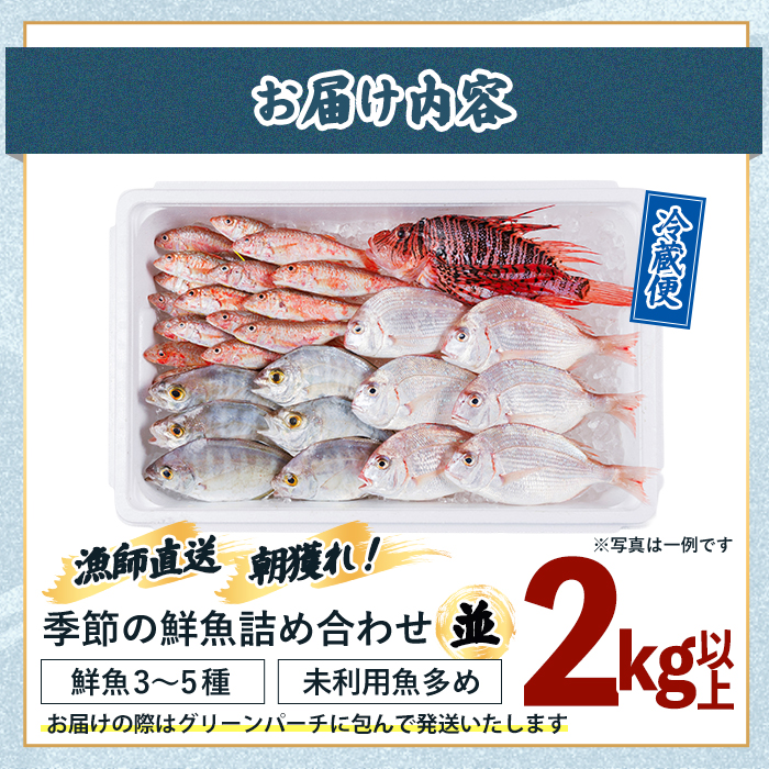 【北海道・離島配送不可】漁師直送！朝獲れ 季節の 鮮魚 詰め合わせ (並) (合計2kg以上・3～5種) 下処理済み 大衆魚 高級魚 未利用魚 冷蔵 BOX ボックス イカ 鯛 海鮮 魚介 食べ比べ 詰合せ 宮崎県産 【O-10】【門川漁業協同組合】