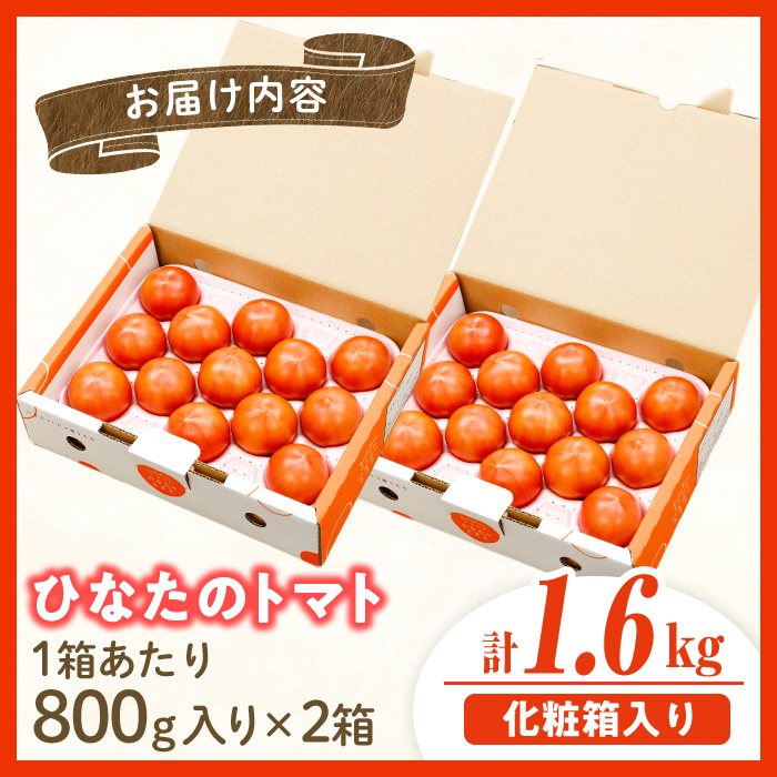 門川ひなたのトマト(800g×2箱) 高糖度 トマト フルーツトマト 野菜 旬野菜 冷蔵 門川町産 宮崎県 門川町 【TM-02】【宮崎県農業協同組合日向地区本部(門川選果場)】