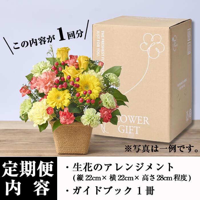 ＜定期便・6回(連続)＞季節のお楽しみフラワーアレンジメント(生花：Sサイズ)花 花束 フラワー ギフト 贈り物 インテリア【FM-6】【フラワーショップまつだ】
