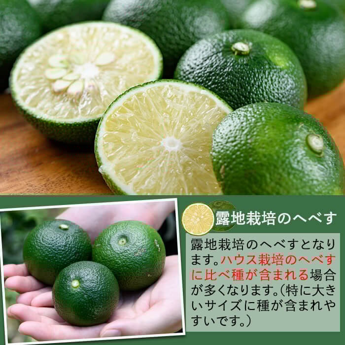 ＜先行予約受付中！2026年9月中に発送予定＞へべすとへべすが香る一味とうがらしのセット(合計2種・へべす青果約2kg、へべすが香る一味とうがらし15g)柑橘 果汁 国産 調味料 唐辛子 特産品 詰め合わせ 詰合せ 宮崎県 門川町【T-4】【熊野農園】