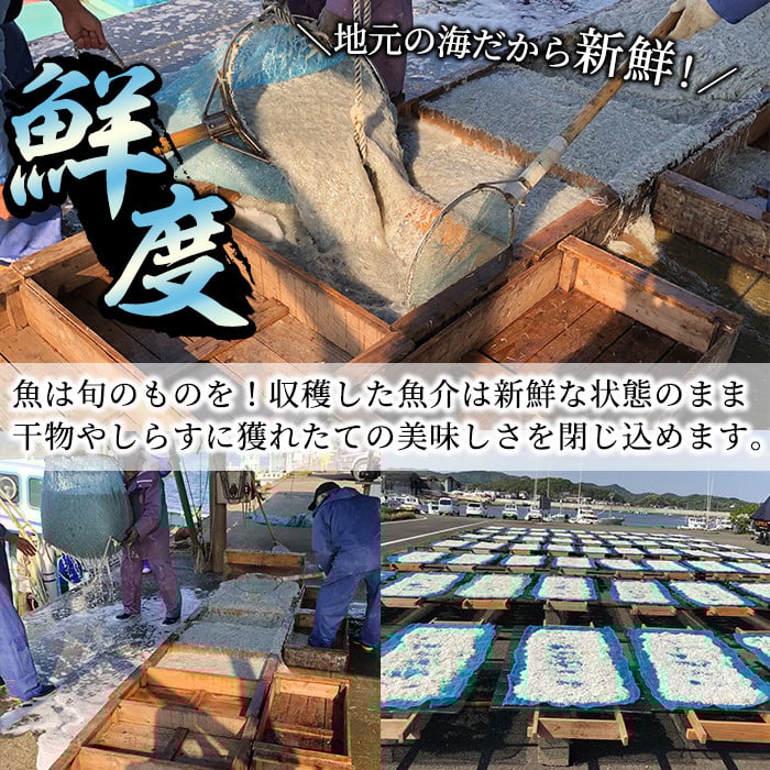 岩田水産の「訳あり干物セット」(合計3.2kg以上・5種以上)ひもの 簡単 調理 冷凍 魚 海鮮 あじ ちりめん さば さごし かます めひかり いりこ 詰め合わせ 個包装 小分け 宮崎県 門川町【AS-2】【岩田水産】