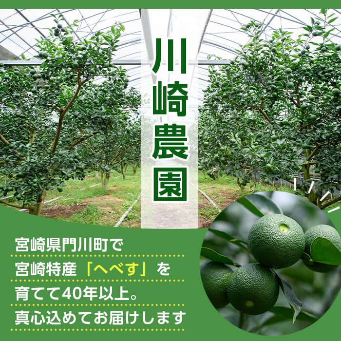 ＜先行予約受付中！2026年6～7月の間に発送予定＞期間限定！訳あり！門川町産へべす(2kg)柑橘 果汁 国産 特産品 宮崎県 門川町【AM-2】【川崎農園】