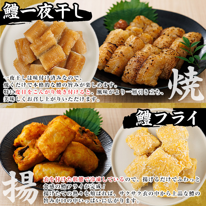 鱧づくしセット(骨切り白鱧×400g、鱧フライ×250g、鱧一夜干し×150g) はも ハモ 骨切り 唐揚げ 海鮮 魚介 おつまみ 惣菜 簡単 お手軽 冷凍 食べ比べ 詰め合わせ 詰合せ 国産 宮崎県産 【O-9】【門川漁業協同組合】