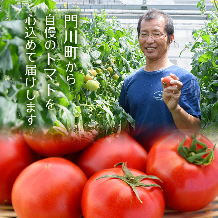 ひなたのとまと(計2.2kg・1.1kg×2箱)トマト フルーツトマト 糖度 9度 以上 野菜 旬野菜 冷蔵 門川町産 宮崎県 門川町【A-3】【株式会社 新門トマト農園】