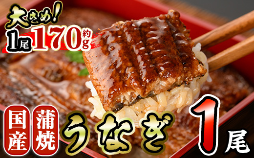 国産 うなぎ 蒲焼 (約170g×1尾) 鰻 タレ かば焼き うな重 うな丼 ひつまぶし 小分け 真空包装 真空パック 【AW-89】【丸正水産】