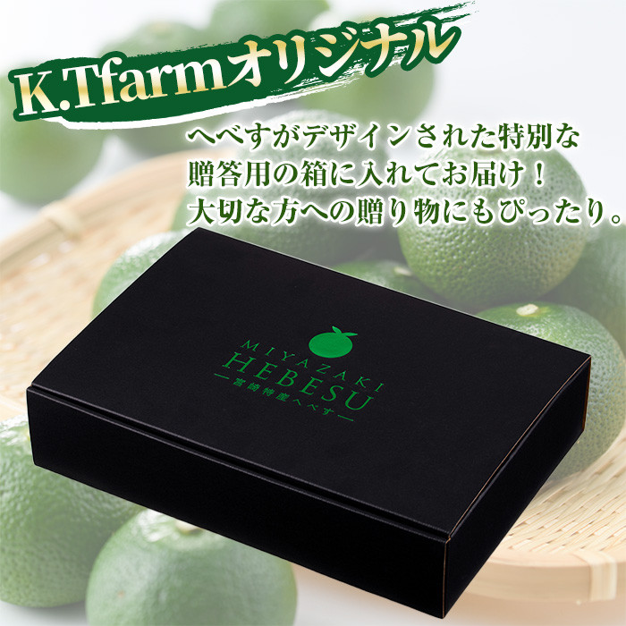 æééå® å®®åŽç¹ç£ãžã¹ã(1ã1.3kg) ãžã¹ã ææ© ææ± èŽççš åœç£ ç¹ç£å å®®åŽç éå·çº ãKT-10ããK.Tfarmã