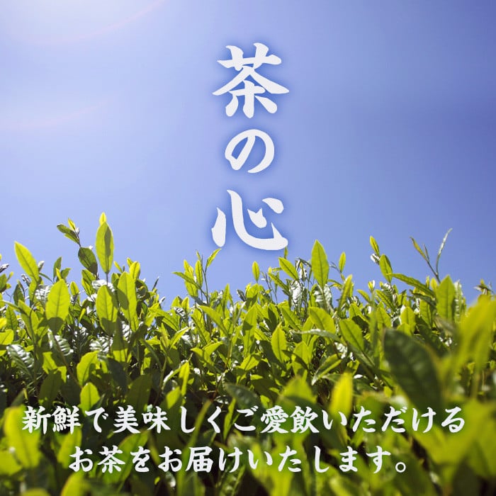 ＜訳あり・簡易包装＞玄米茶三角ティーバッグ(計500g・5g×100個)お茶 茶葉 飲み比べ 常温 保存 便利【AA-19】【鹿島園本舗】