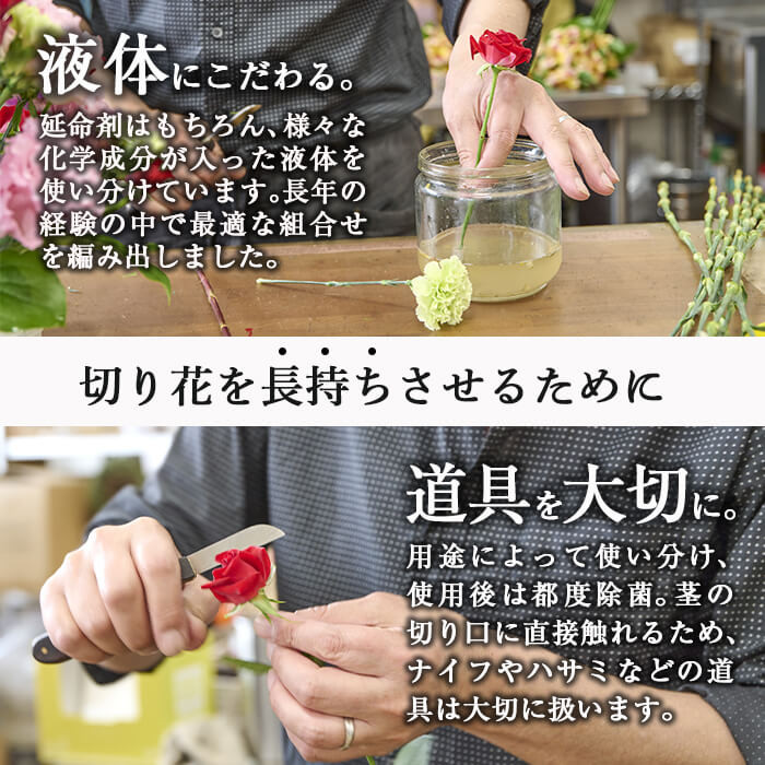 ＜定期便・6回(連続)＞季節のお楽しみブーケ(生花：Sサイズ)生花 お花 花束 フラワー 植物 贈り物 インテリア【FM-5】【フラワーショップまつだ】