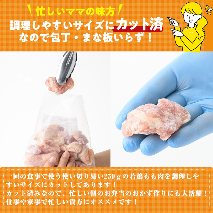 鶏肉 もも肉 小分け 個別凍結(計3kg・250g×12P)お肉 鳥肉 とり肉 切身 カット済 個別凍結 IQFカット 国産 宮崎県産 唐揚げ から揚げ からあげ 冷凍 便利【NK-02】【株式会社南九フーズ】