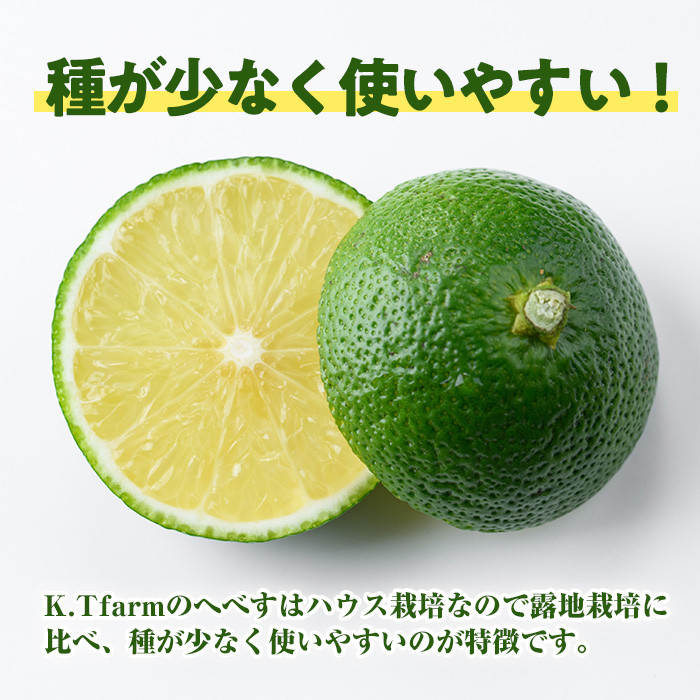 æééå® å®®åŽç¹ç£ãžã¹ã(1ã1.3kg) ãžã¹ã ææ© ææ± èŽççš åœç£ ç¹ç£å å®®åŽç éå·çº ãKT-10ããK.Tfarmã