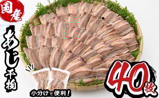 九州産あじ干物(5枚×8P・計40枚)ひもの 魚 さかな 鯵 アジ おかず 肴 おつまみ 簡単 時短 おかず お弁当 国産 冷凍 宮崎県 門川町【AW-9】【丸正水産】