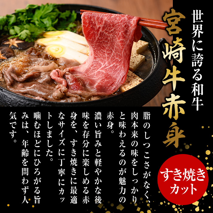 宮崎牛 赤身カット すき焼き (合計1kg・500g×2) すき焼き お肉 牛肉 黒毛和牛 宮崎牛 ブランド和牛 冷凍 国産 モモ ウデ 宮崎県産【YM-25】【YAMATO株式会社】