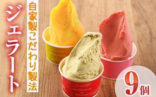 ãI-2ãïŒå
è¡äºçŽåä»äžïŒ2026幎2æããé æ¬¡çºéäºå®ïŒèªå®¶è£œãã ãã補æ³ïŒèªå®¶è£œãžã§ã©ãŒã(9å)ãããã«ã»ãã©ã¹ã