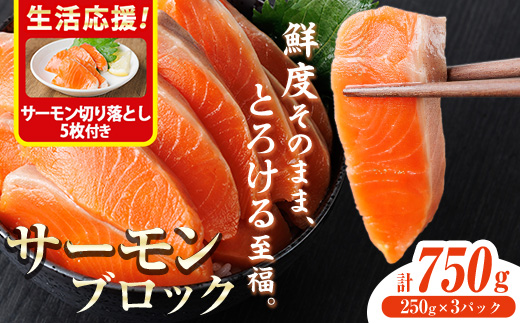 生活応援 サーモン切り落とし5枚付き！生食用 サーモン ブロック(計750g・250g×3P) 鮭 小分け 真空 パック 冷凍 刺身 シャケ サケ 魚 魚介 【AW-99】【丸正水産】