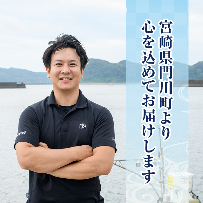 ＜訳あり＞ 揚げるだけ！ さば 竜田揚げ (計約960g・約240g×4袋) 小分け 鯖 さば 骨とり 骨なし 骨取り済 カット済 簡単 フライ 魚 冷凍 お弁当 おかず 【AW-69】【丸正水産】