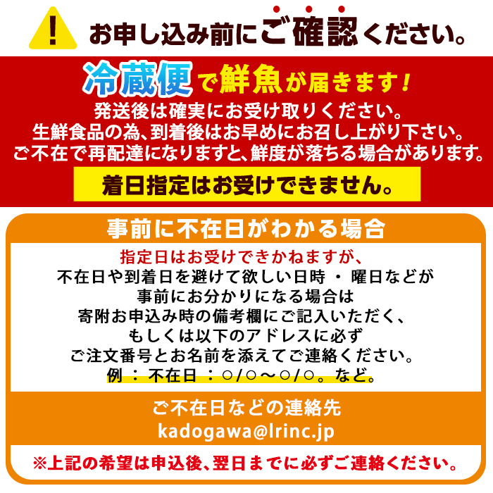 【北海道・離島配送不可】漁師直送！朝獲れ 季節の 鮮魚 詰め合わせ (並) (合計2kg以上・3～5種) 下処理済み 大衆魚 高級魚 未利用魚 冷蔵 BOX ボックス イカ 鯛 海鮮 魚介 食べ比べ 詰合せ 宮崎県産 【O-10】【門川漁業協同組合】