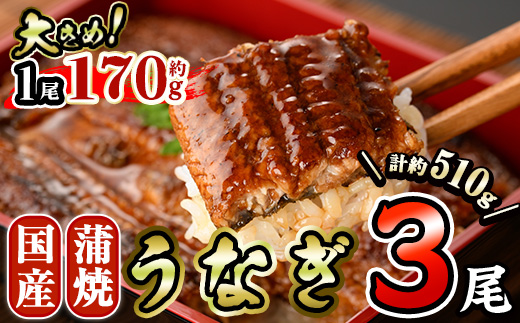 国産 うなぎ 蒲焼 (約170g×3尾) 鰻 タレ かば焼き うな重 うな丼 ひつまぶし 小分け 真空包装 真空パック 【AW-90】【丸正水産】