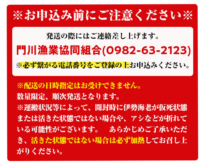 ＜数量限定・期間限定＞天然！門川町産活き伊勢海老(計1kg・約2〜3尾)エビ えび 刺身 魚介 海鮮 朝獲れ 国産【O-4】【門川漁業協同組合】