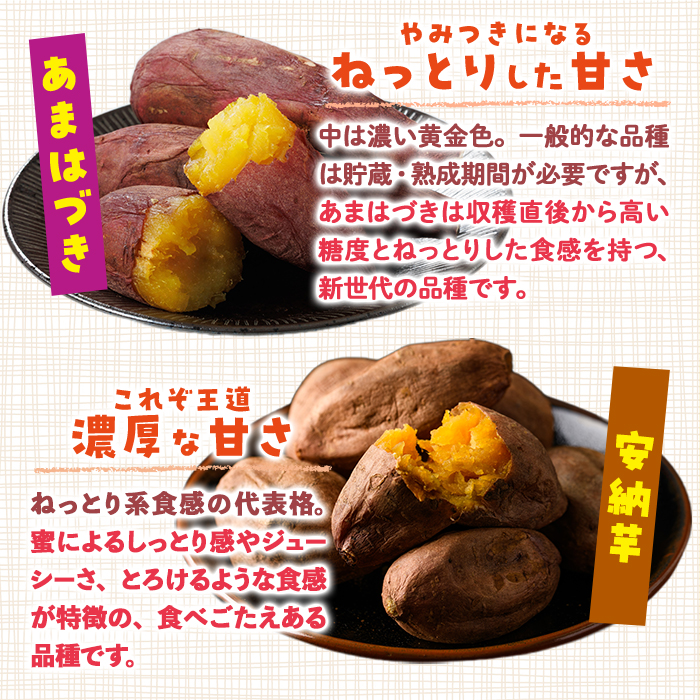 ＜先行予約受付中！2026年10月から順次発送予定＞おやつ芋 あまはづき 安納芋 冷凍 焼き芋 (計12個・3個入り×各2袋) 焼芋 やきいも さつまいも さつま芋 レンジ あまはづき 安納芋 小分け おやつ 【YO-27】【株式会社陽】