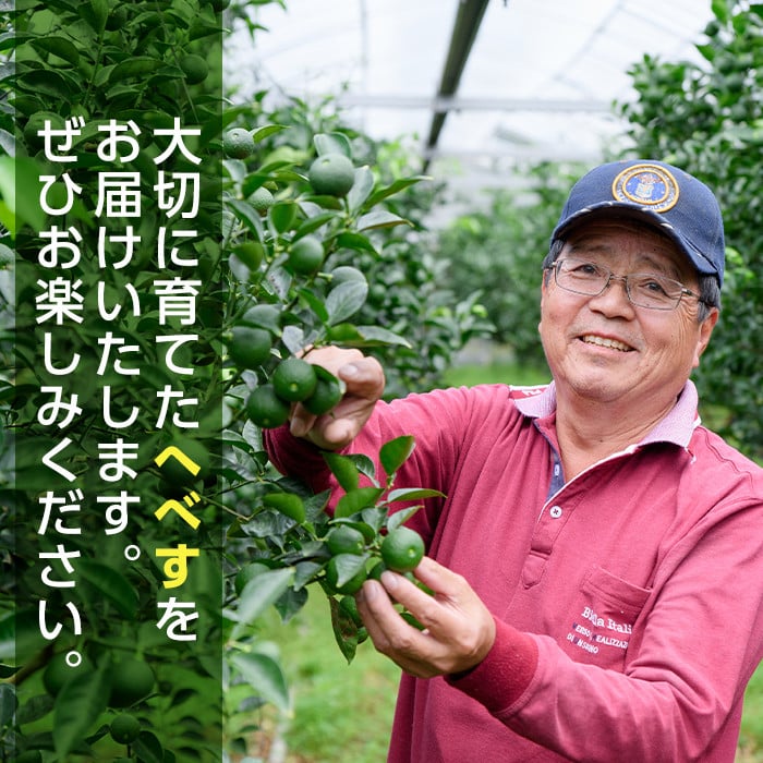 ＜先行予約受付中！2026年6～7月の間に発送予定＞期間限定！訳あり！門川町産へべす(2kg)柑橘 果汁 国産 特産品 宮崎県 門川町【AM-2】【川崎農園】