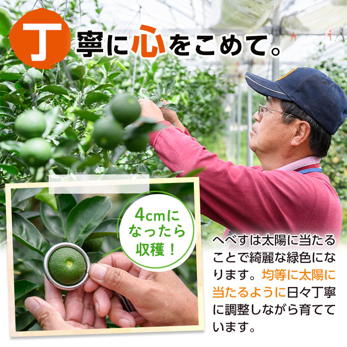 ＜先行予約受付中！2026年6～7月の間に発送予定＞期間限定！門川町産へべす(1kg)柑橘 果汁 国産 特産品 宮崎県 門川町【AM-1】【川崎農園】