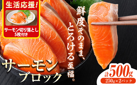 生活応援 サーモン切り落とし5枚付き！生食用 サーモン ブロック(計500g・250g×2P) 鮭 小分け 真空 パック 冷凍 刺身 シャケ サケ 魚 魚介 【AW-98】【丸正水産】