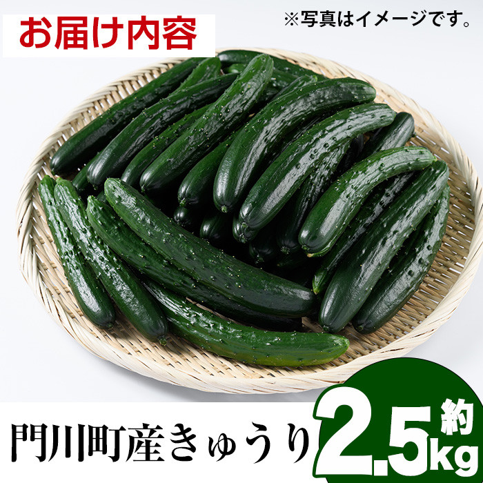 宮崎県産きゅうり(2.5kg)野菜 やさい サラダ 胡瓜 漬物 キムチ 冷蔵【NS-2】【中澤農園】