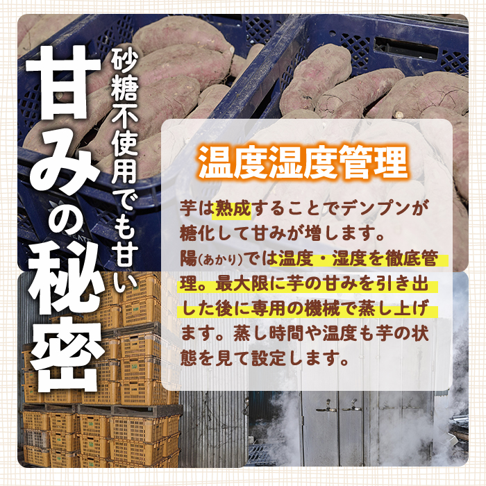 ＜先行予約受付中！2026年10月から順次発送予定＞冷凍 焼き芋 食べ比べ セット(あまはづき・安納芋・500g×各2袋)冷凍 焼芋 焼き芋 やきいも さつまいも さつま芋 レンジ小分け おやつ 宮崎県 門川町【YO-23】【株式会社 陽】
