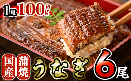 国産 うなぎ 蒲焼 (約100g×6尾) 鰻 タレ かば焼き うな重 うな丼 ひつまぶし 小分け 真空包装 真空パック 【AW-96】【丸正水産】