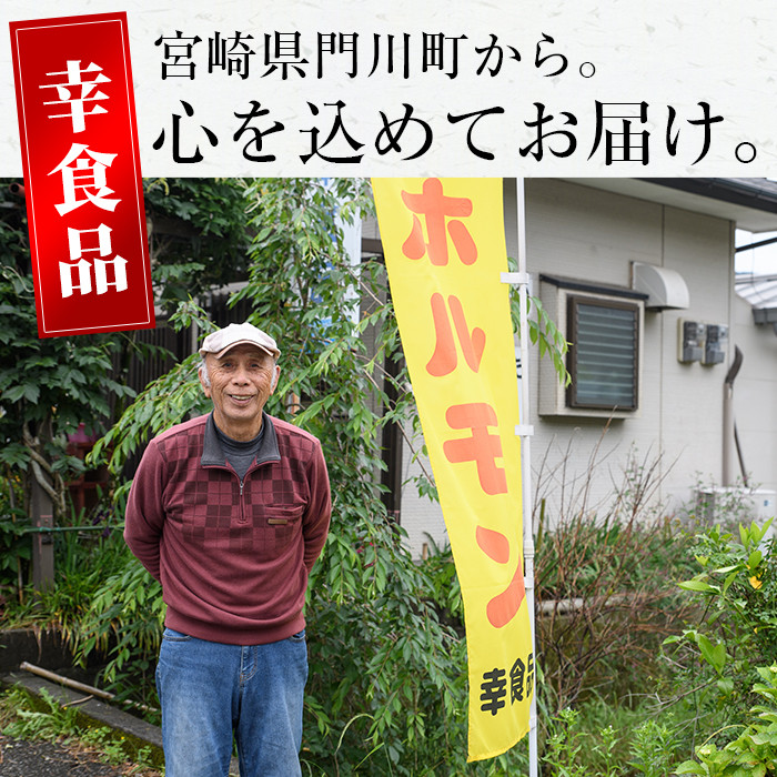 国産ホルモンなど4種(合計1kg・直腸、特上ハラミ、和風カルビ、舌もと)豚肉 ぶた 焼肉 もつ鍋 セット 詰め合わせ 詰合せ 食べ比べ 小分け 冷凍 おかず おつまみ【J-1】【幸食品】