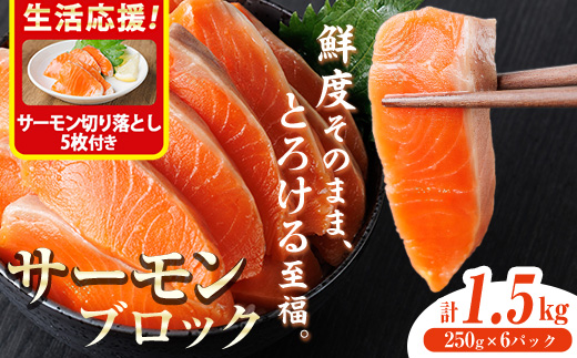 生活応援 サーモン切り落とし5枚付き！生食用 サーモン ブロック(計1.5kg・250g×6P) 鮭 小分け 真空 パック 冷凍 刺身 シャケ サケ 魚 魚介 【AW-101】【丸正水産】