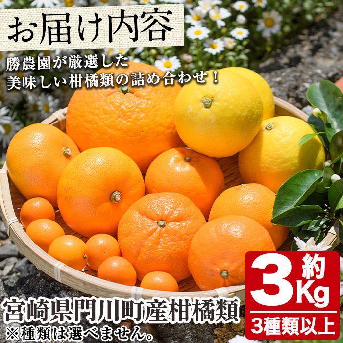 ＜先行予約受付中！2026年2月中旬～5月上旬の間に発送予定＞柑橘類おたのしみBOX(約3kg・3種類以上) 柑橘 果物 数量限定 期間限定 国産 フルーツ 詰め合わせ セット 遠見半島 宮崎県 門川町 【AE-22】【勝農園】
