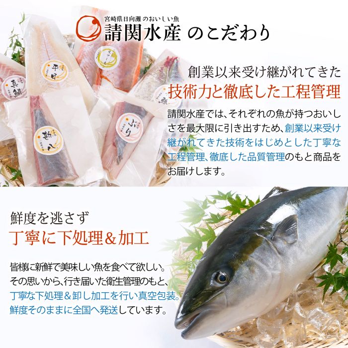新鮮！しまあじのお刺身(1尾分：約500〜600g) 海鮮 魚介 お刺し身 シマアジ しゃぶしゃぶ 冷蔵 真空 国産 【UZ-05】【請関水産】