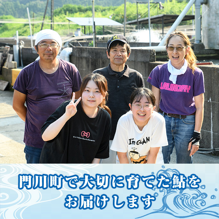 【北海道・離島配送不可】＜先行予約受付中！2026年10月～11月中旬の間に発送予定＞＜期間限定＞生子持ち鮎(約1kg・10～14匹)  鮎 冷蔵 子持ち鮎 生き〆 生きシメ 国産 門川町産 宮崎県産 塩焼き あゆ 川魚 養殖 香魚 期間限定 【ME-02】【米良水産】