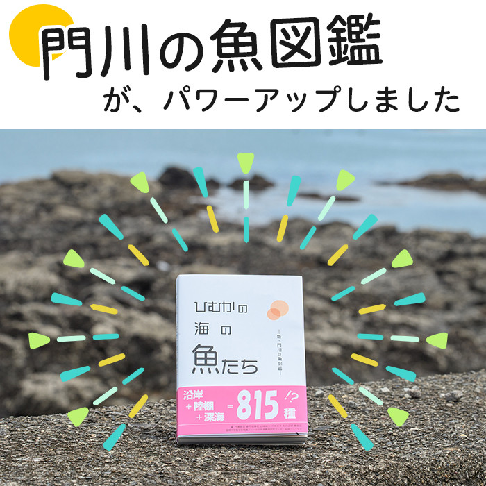 新・門川の魚図鑑と魚かるたセット！お魚 知育 学習 本 書籍 玩具 おもちゃ カードゲーム【AI-4】【門川町地域振興課】