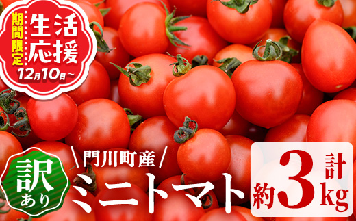 ＜先行予約受付中！2026年2～3月の間に発送予定＞訳あり 規格外 数量限定 門川町産 ミニトマト(計3kg)  訳あり 規格外 数量限定 門川町産 ミニトマト 期間限定 生活応援 とまと 野菜 ミックス 生 旬野菜 冷蔵 小鈴 キャロルパッション プレミアムルビー アイコ 【X-10】【いけとも農園】