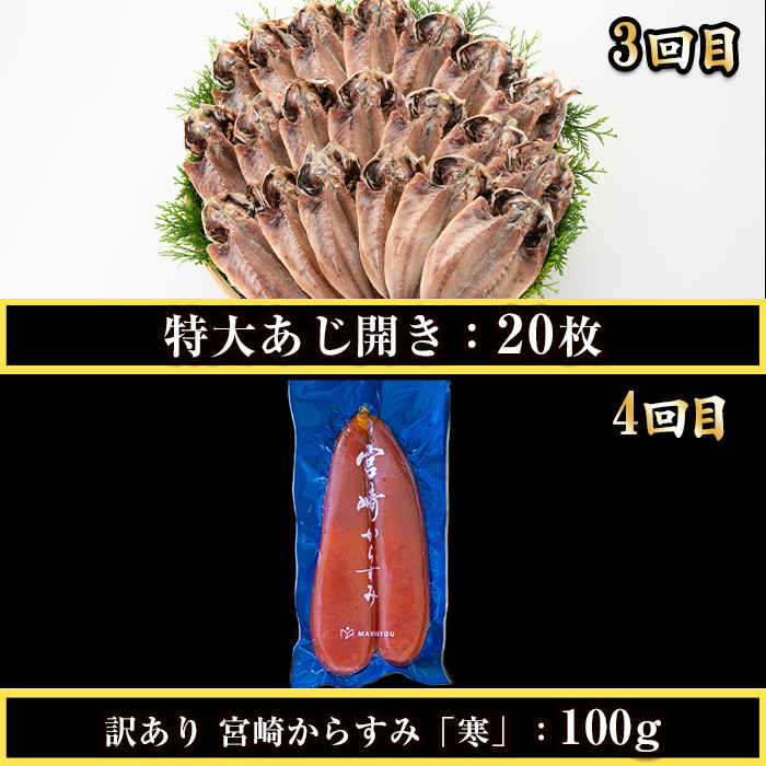 ＜定期便・全4回(連続)＞さかなのまち 門川 海の幸 定期便 ( 骨取り 肉厚 サバ切身×36切・味付けすりみ2種 計1.8kg、特大 あじ　開き×20切・訳あり からすみ100g) アジ さば カラスミ おかず 惣菜 骨とり 煮物 すり身 宮崎県 門川町【AW-64】【丸正水産】