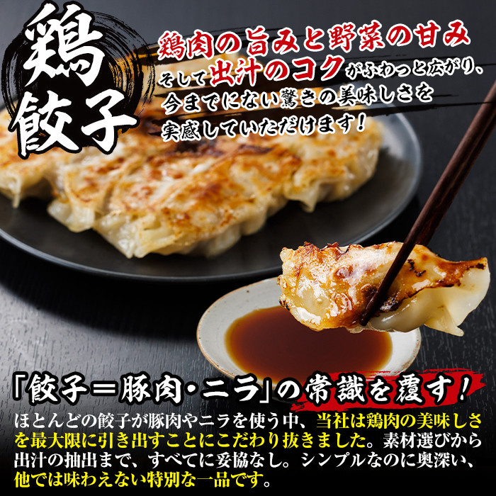 鶏の本場の老舗鶏屋が作る味鶏の餃子セット (計120個・1Pあたり12個入・柚子胡椒30g付き！) 鶏餃子 餃子 鶏肉 ぎょうざ おかず お惣菜 おつまみ 冷凍【V-72】【味鶏フーズ】