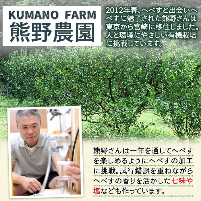 ＜先行予約受付中！2026年9月中に発送予定＞へべすとへべすが香る一味とうがらしのセット(合計2種・へべす青果約2kg、へべすが香る一味とうがらし15g)柑橘 果汁 国産 調味料 唐辛子 特産品 詰め合わせ 詰合せ 宮崎県 門川町【T-4】【熊野農園】