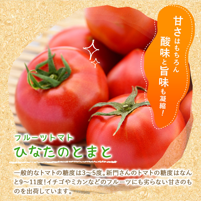 ひなたのとまと(1.1kg)トマト フルーツトマト 糖度 9度 以上 野菜 旬野菜 冷蔵 国産 宮崎県産【A-4】【新門トマト農園】