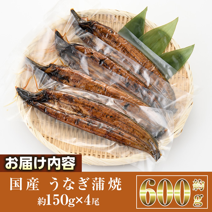 蝗ス逕」 縺縺ェ縺 闥イ辟シ (邏150gテ4蟆セ) 魏サ 繧ソ繝ャ 縺九ー辟シ縺 縺縺ェ驥 縺縺ェ荳シ 縺イ縺、縺セ縺カ縺 蟆丞縺 逵溽ゥコ蛹陬 逵溽ゥコ繝代ャ繧ッ 縲植W-94縲代蝉クク豁」豌エ逕」縲