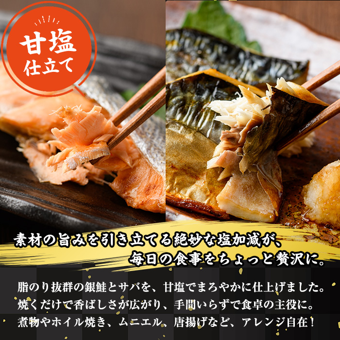 ＜訳あり＞ 甘塩 銀鮭と骨取りサバの切り落としセット(合計1kg・500g×各1袋) 甘塩 小分け 切り身 鯖 さば 骨なし 骨取り済 さけ 鮭 しゃけ  鮭切身 カット済 簡単 魚 海鮮  お弁当 おかず 【KI-25】【イチマル食品加工】