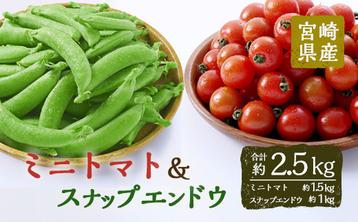 ＜先行予約受付中！2026年2月下旬～4月上旬の間に発送予定＞＜期間限定＞ミニトマト(約1.5kg)とスナップエンドウ(約1kg)野菜 とまと えんどう豆 フルーツトマト サンチェリーピュア ダルタリー アイコ サラダ【GF-3】【グーファーム】